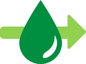 Support Healthy Blood Sugar